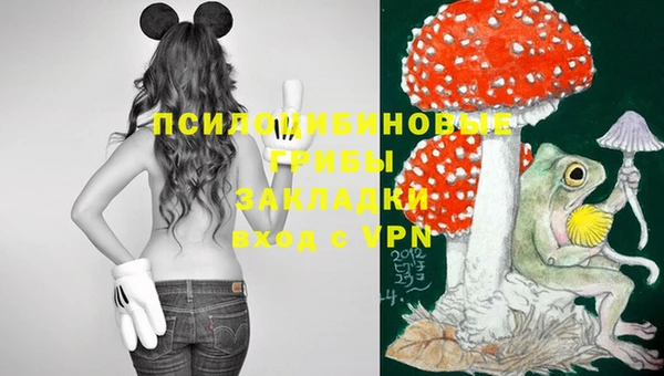 сатива Нягань