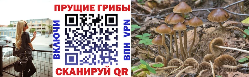 Галлюциногенные грибы Psilocybine cubensis  наркота  Нижнекамск 
