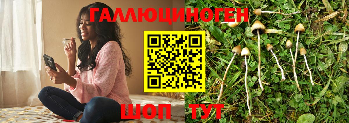 Псилоцибиновые грибы Psilocybe  Галлюциногенные грибы прущие грибы  Нижнекамск 